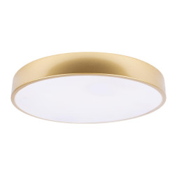 Потолочный светильник LOFT IT 10228/A