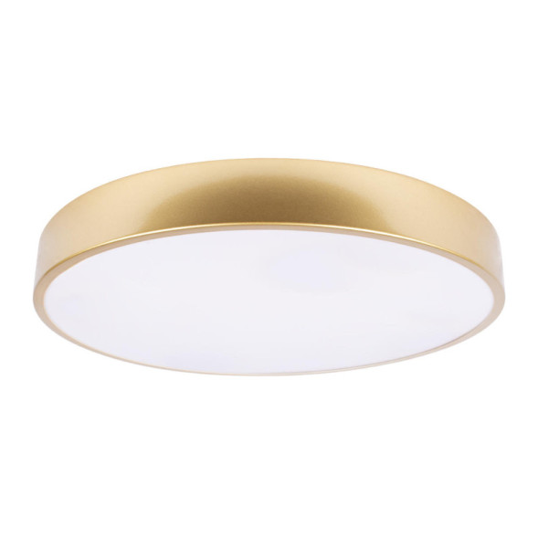 Потолочный светильник LOFT IT 10228/A
