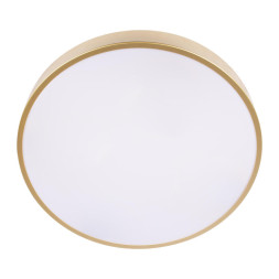 Потолочный светильник LOFT IT 10228/A