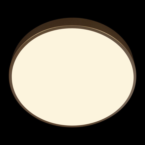 Потолочный светильник LOFT IT 10228/A