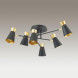 Люстра на штанге LUMION Liam 3790/6C