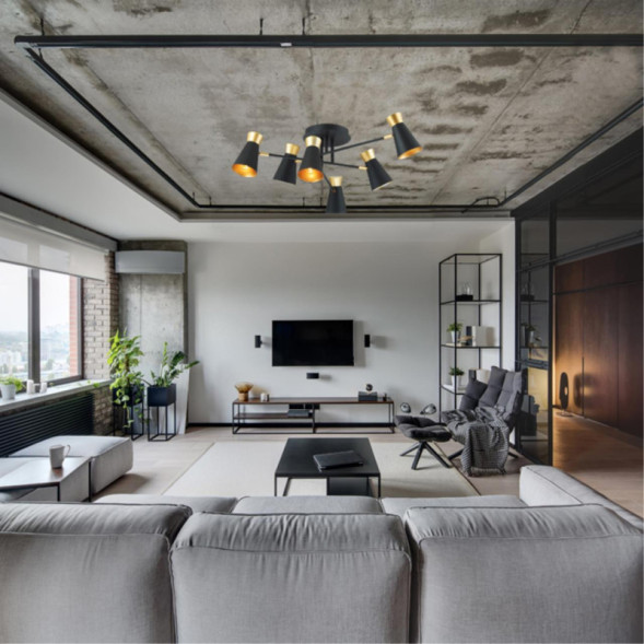 Люстра на штанге LUMION Liam 3790/6C