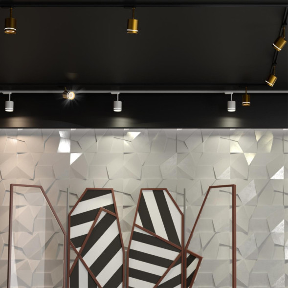 Светодиодный трековый светильник Novotech Arum 358804