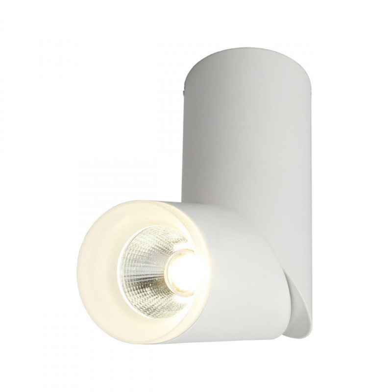 Накладной точечный светильник Omnilux Omnilux 100 OML-100209-10