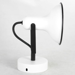 Спот Lussole FARGO LSP-8801