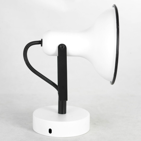 Спот Lussole FARGO LSP-8801