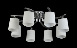 Потолочная люстра Freya Eurosize+TOC001 FR5454CL-08CH