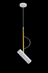 Подвесной светильник Favourite TUBE 2108-1P