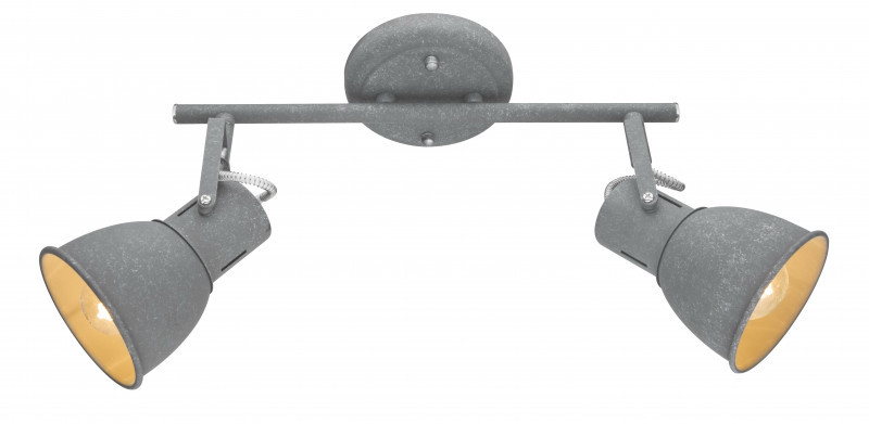 Спот ARTE Lamp JOVI A1677PL-2GY