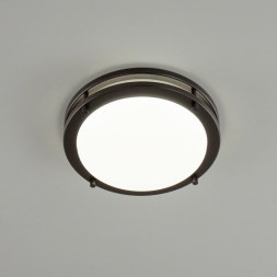 Потолочный светильник Citilux Бостон CL709205N