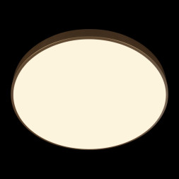 Потолочный светильник LOFT IT 10228/B