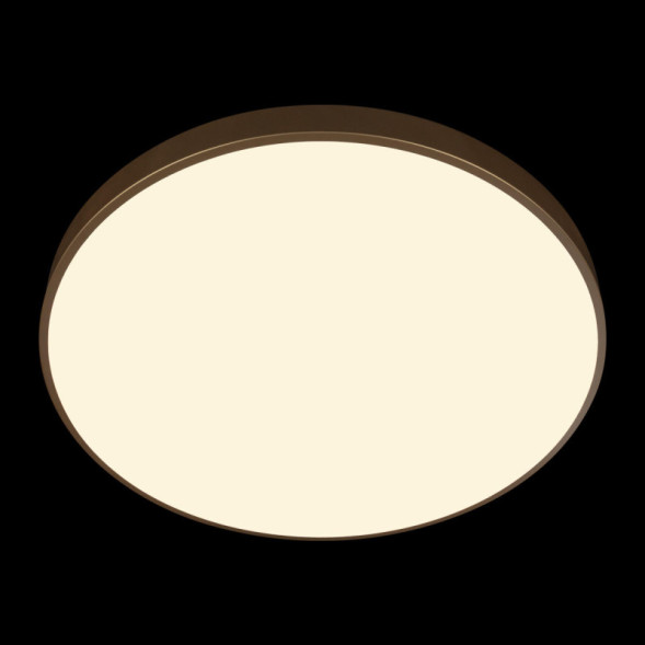 Потолочный светильник LOFT IT 10228/B