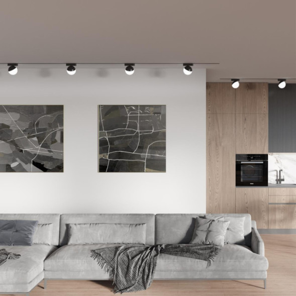 Магнитный трековый светильник Novotech SMAL 359262