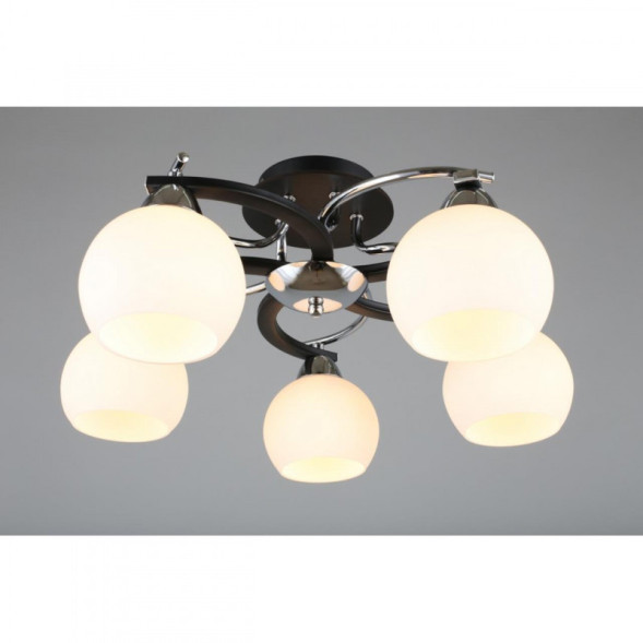 Потолочная люстра Omnilux Omnilux 254 OML-25407-05