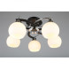 Потолочная люстра Omnilux Omnilux 254 OML-25407-05