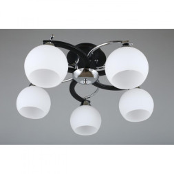 Потолочная люстра Omnilux Omnilux 254 OML-25407-05