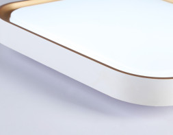 Потолочный светильник Ambrella Light FZ1259