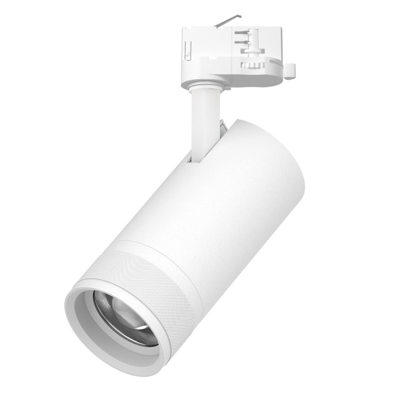 Трековый светильник C4306QT Lightstar Canno Pro