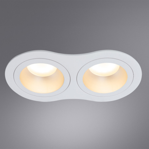 Встраиваемый точечный светильник ARTE Lamp ALKES A2161PL-2WH