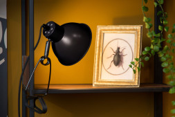 Детская настольная лампа LUCIDE MOYS 45987/01/30