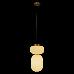 Подвесной светильник LOFT IT 10422/B Duff