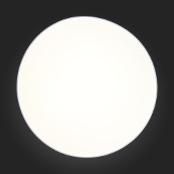 Потолочный светильник ST-Luce Fella SL417.512.01