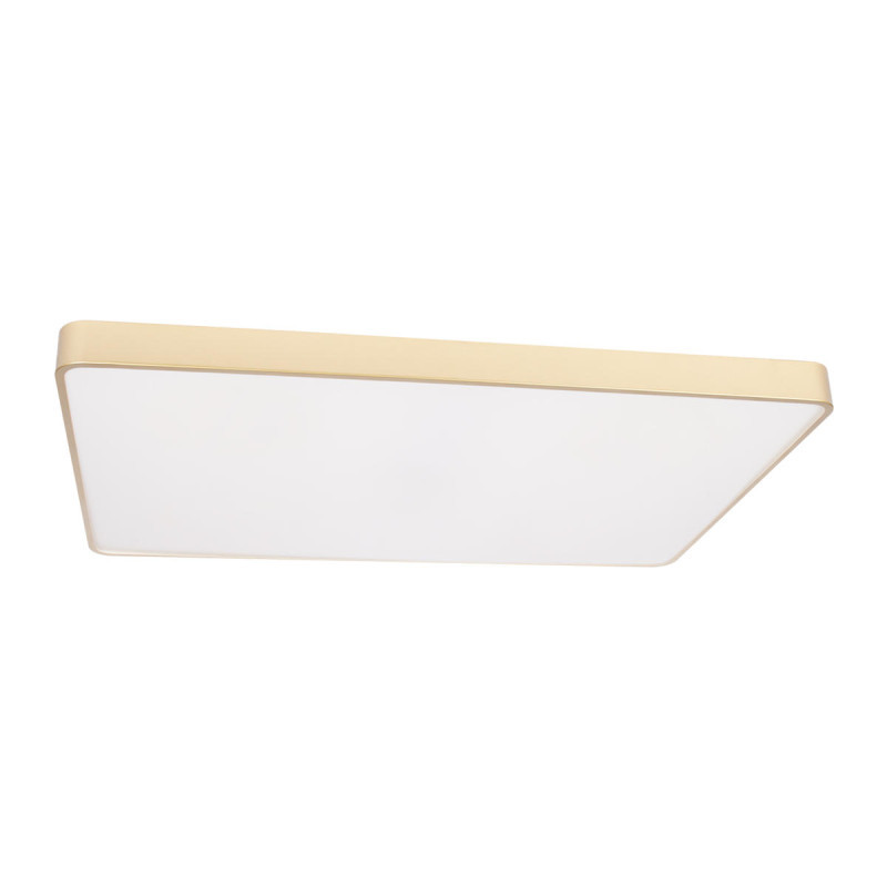 Потолочный светильник LOFT IT 10228/E