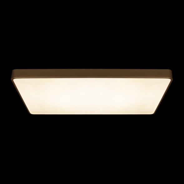 Потолочный светильник LOFT IT 10228/E