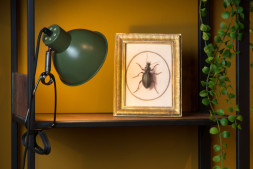 Детская настольная лампа LUCIDE MOYS 45987/01/33