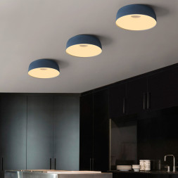 Потолочный светильник ImperiumLoft 184484-26