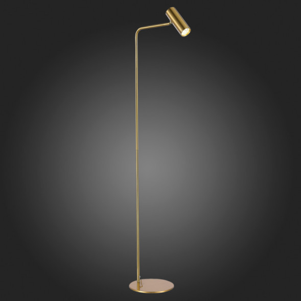 Торшер ST-Luce ARPER SL1006.205.01