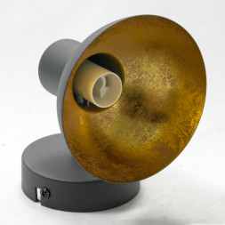 Спот Lussole LOUISVILLE LSP-9973