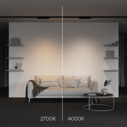 Светодиодный трековый светильник Maytoni Technical BASIS TR196-3-10W4K-B