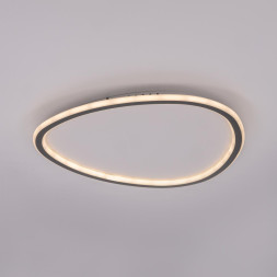 Потолочный светильник Citilux CL215B251E ТRIO