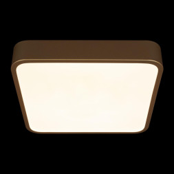 Потолочный светильник LOFT IT 10228/C