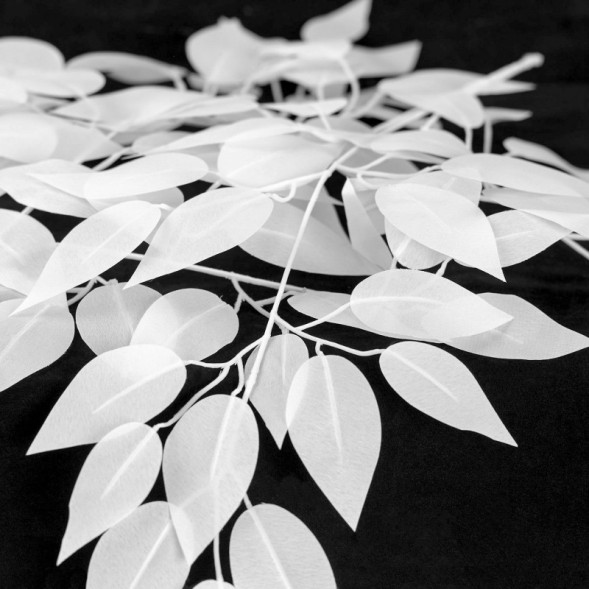 Настольная лампа Lussole LSP-0681 IDAHO