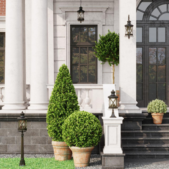 Накладной уличный светильник Odeon Light Sation 4045/1C