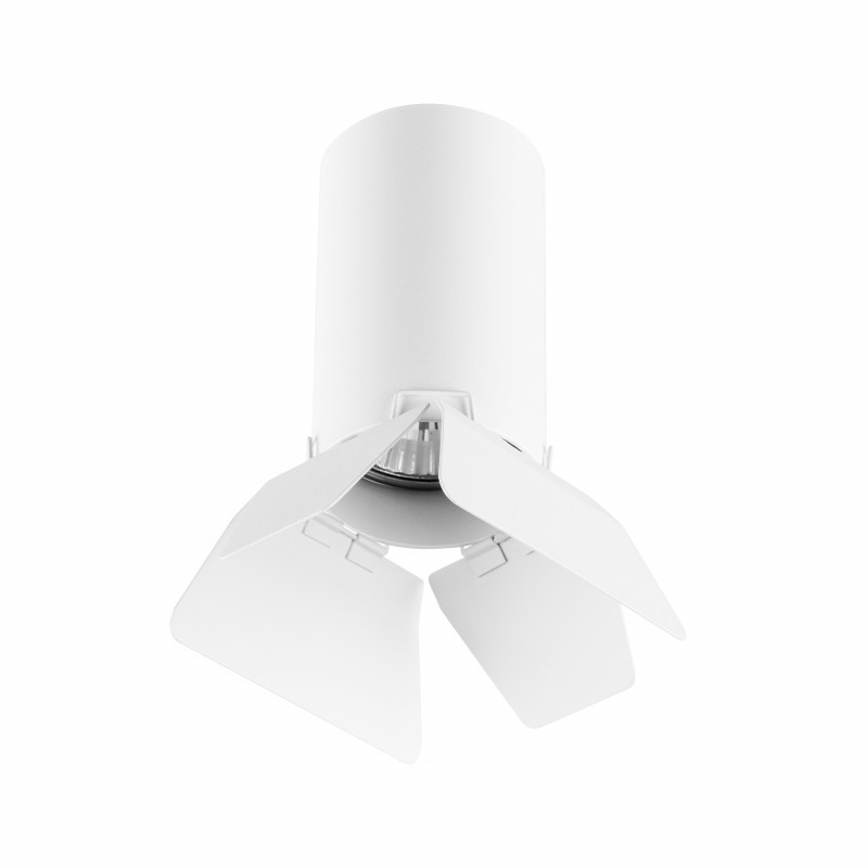 Накладной точечный светильник Lightstar RULLO R436436