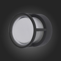 Уличный настенный светильник ST-Luce ALCENO SL9504.411.01