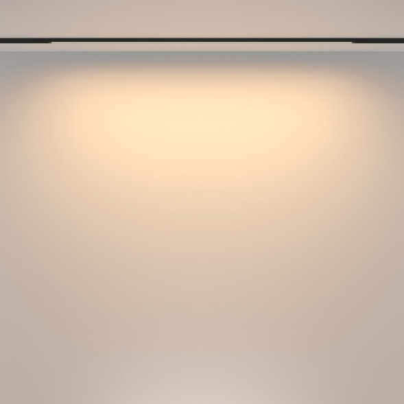 Магнитный трековый светильник Maytoni Technical BASIS TR173-1-24WTW-B