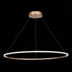 Подвесной светильник ST-Luce ST604 OUT ST604.243.46