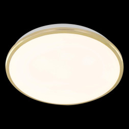 Накладной уличный светильник Citilux Луна CL702302Wz