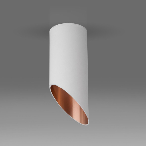 Накладной точечный светильник Elektrostandard DLN114 GU10 белый/золото