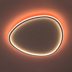 Потолочный светильник Citilux CL215B260E ТRIO