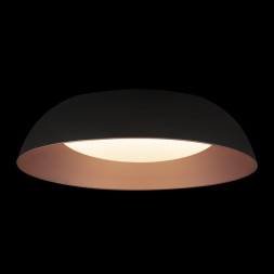Потолочный светильник LOFT IT 10229 Black