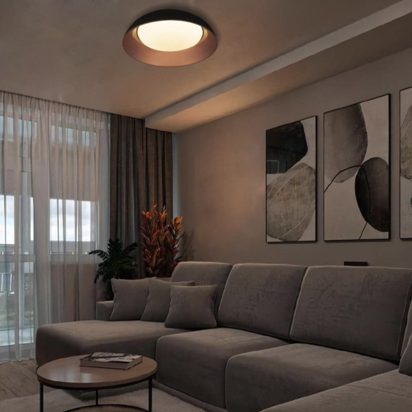 Потолочный светильник LOFT IT 10229 Black