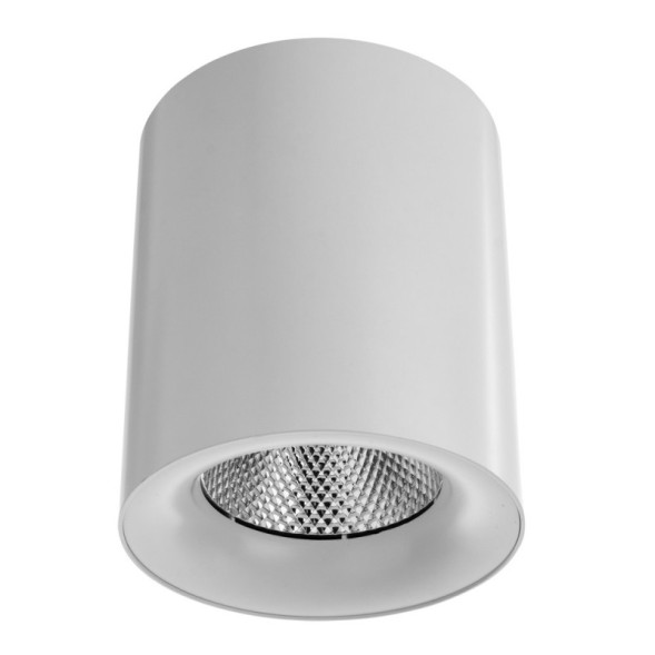 Накладной точечный светильник ARTE Lamp Facile A5130PL-1WH