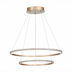 Подвесной светильник ST-Luce ST604 OUT ST604.243.56