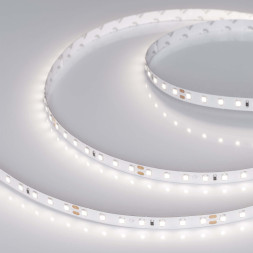 Лента Arlight RT-A98-8mm 2835 021452(2) 50W 24V 5000lm белый (дневной) IP20