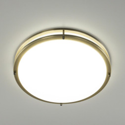 Потолочный светильник Citilux Бостон CL709503N